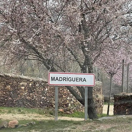 Stunning 7-bed House In Madriguera